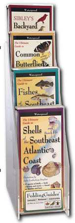 Midwest Folding Guide (4 varieties) - Fish, Butterflies, Birds, Wildflowers