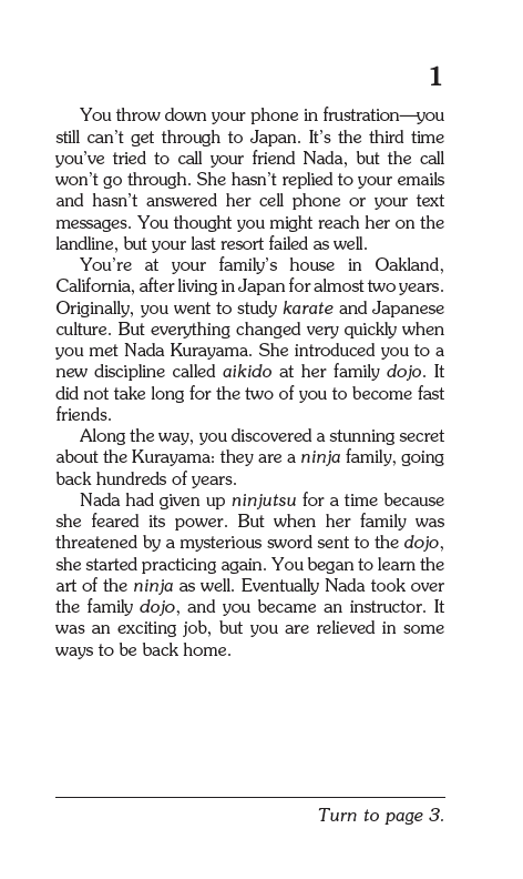 The Lost Ninja, Children's Book - Choose Your Own Adventure