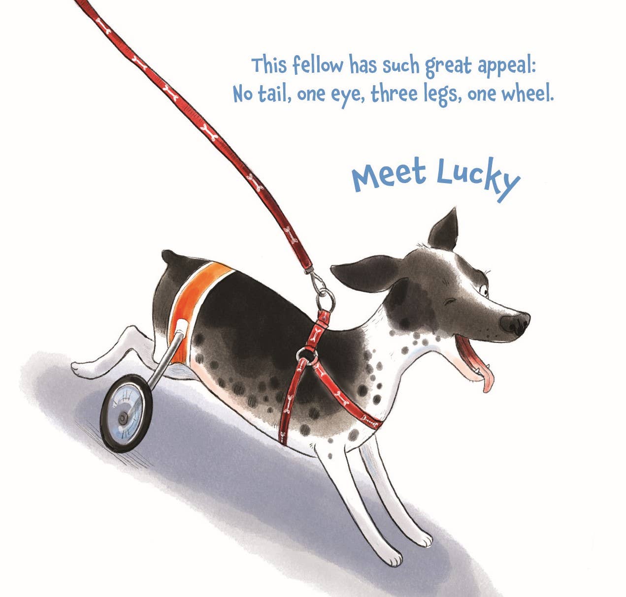 Tails from the Animal Shelter, a picture book