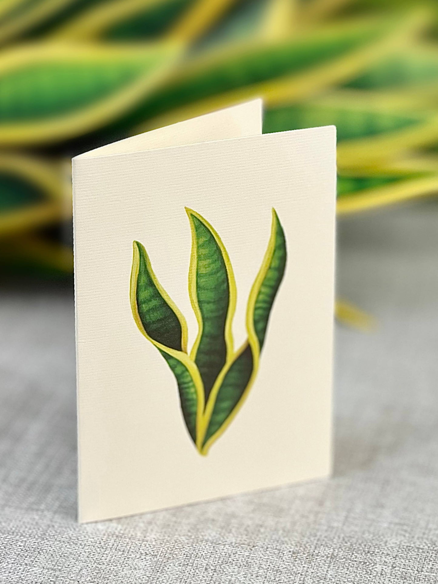 Snake Plant Pop-up Greeting Card
