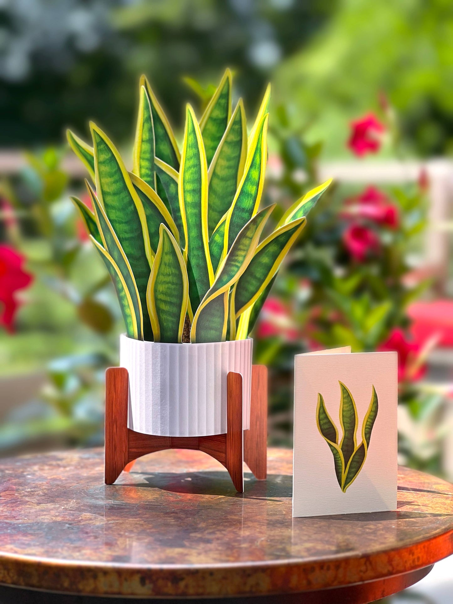 Snake Plant Pop-up Greeting Card