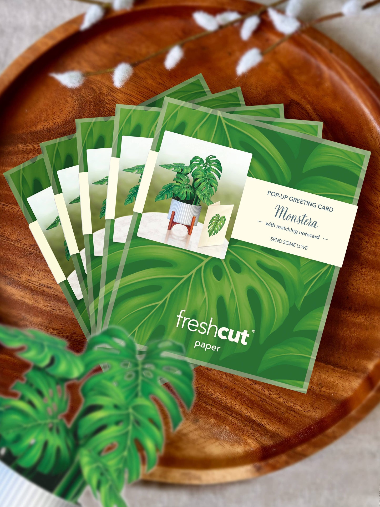 Mini Monstera Plant Pop-up Greeting Card