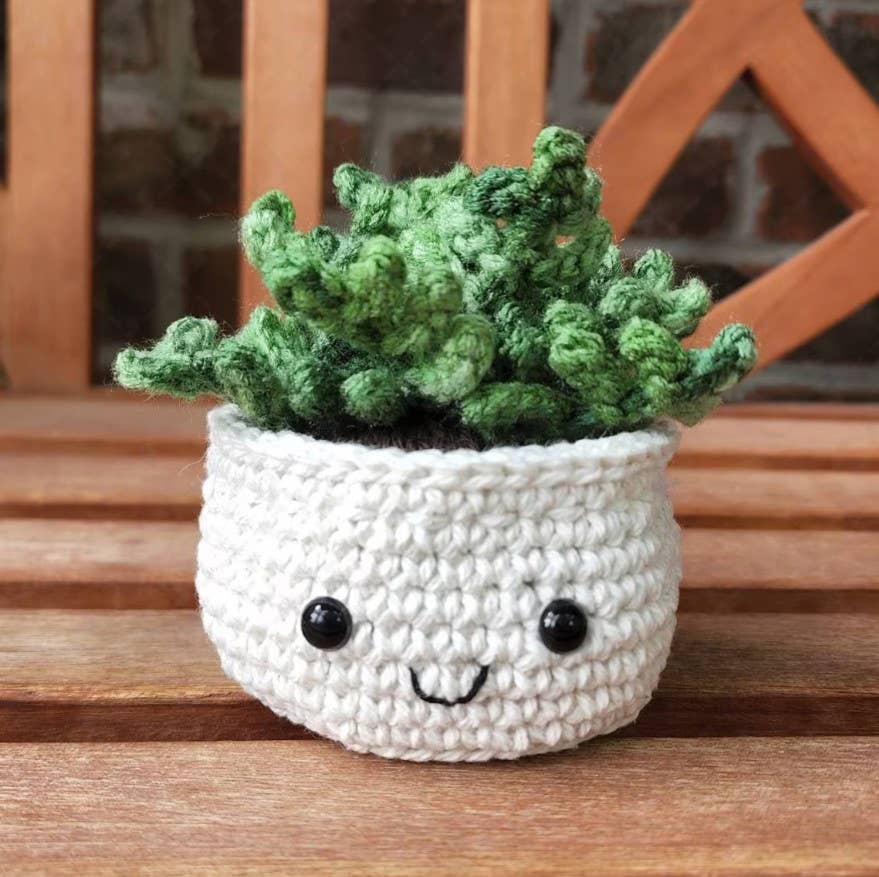Crochet Succulent Plant, Houseplant Decor