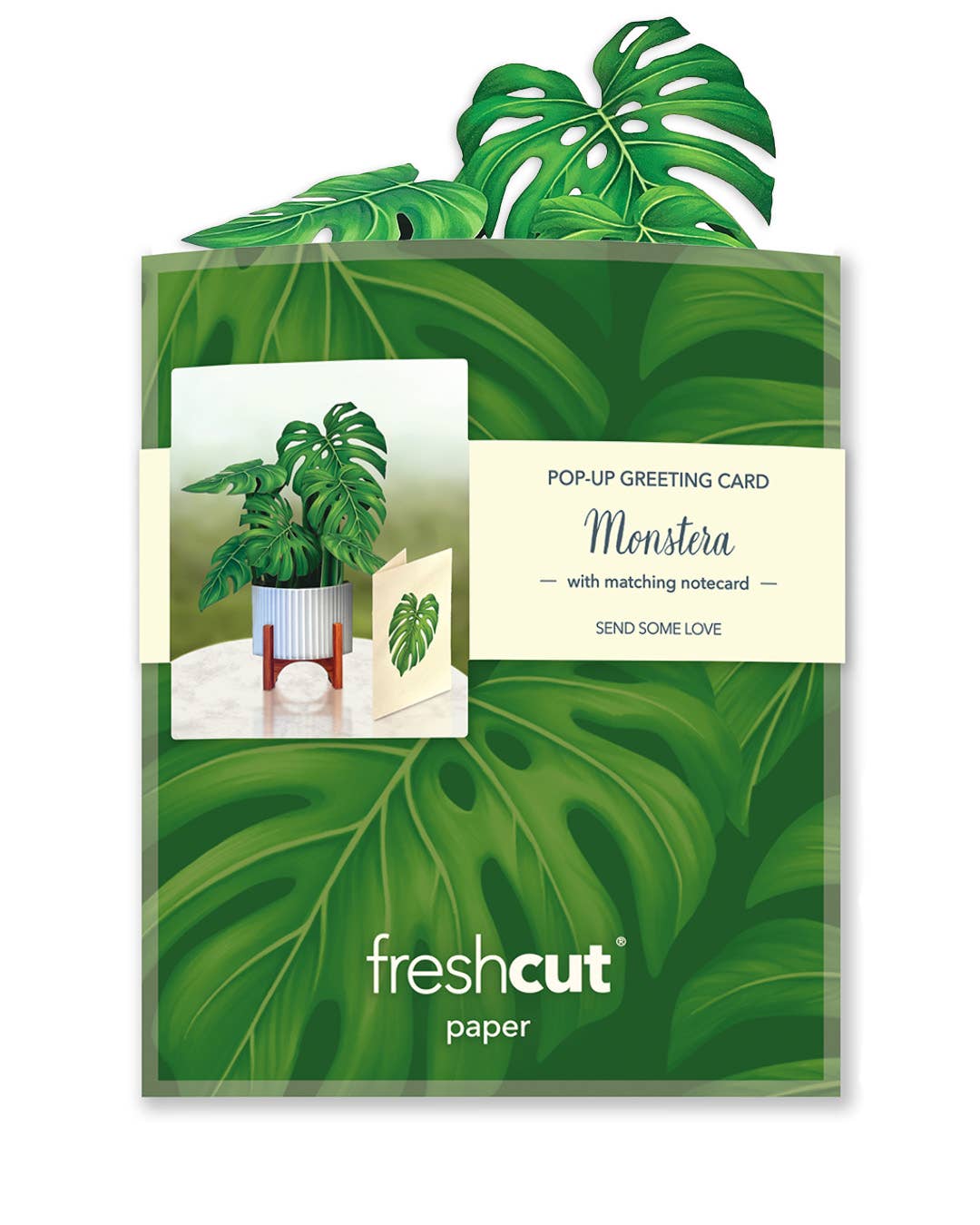 Mini Monstera Plant Pop-up Greeting Card