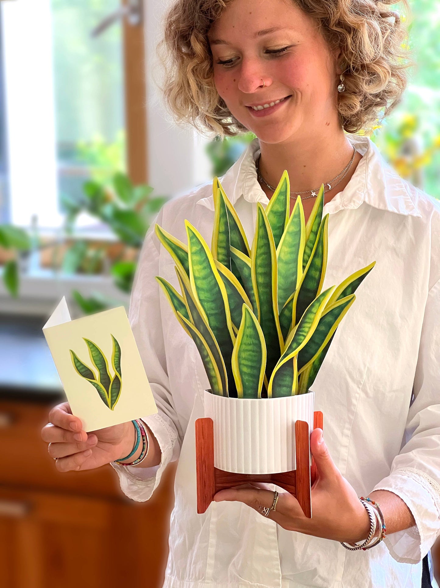 Snake Plant Pop-up Greeting Card
