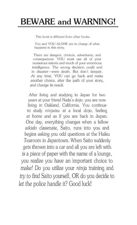 The Lost Ninja, Children's Book - Choose Your Own Adventure