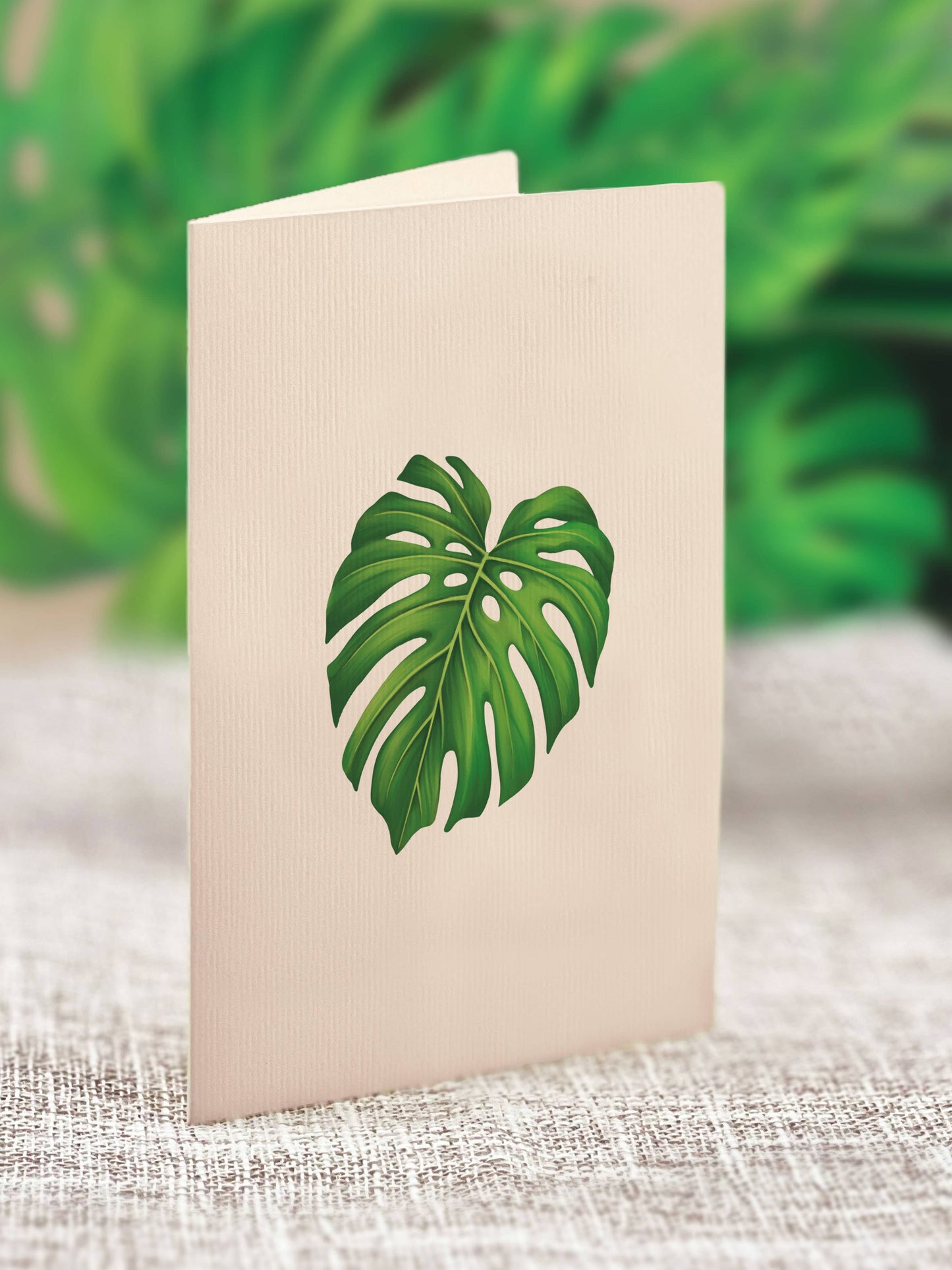 Mini Monstera Plant Pop-up Greeting Card