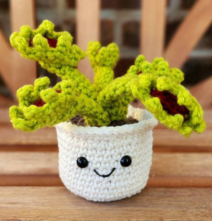 Crochet Succulent Plant, Houseplant Decor