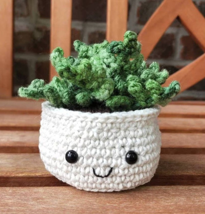 Crochet Succulent Plant, Houseplant Decor