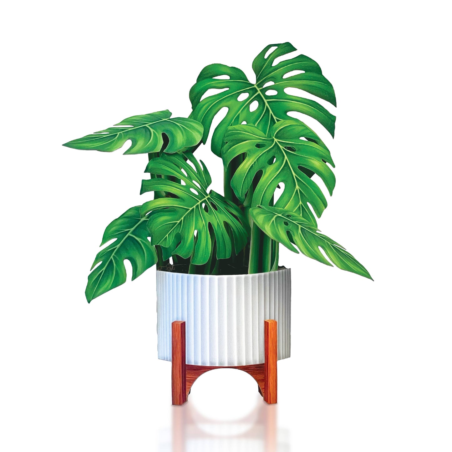 Mini Monstera Plant Pop-up Greeting Card