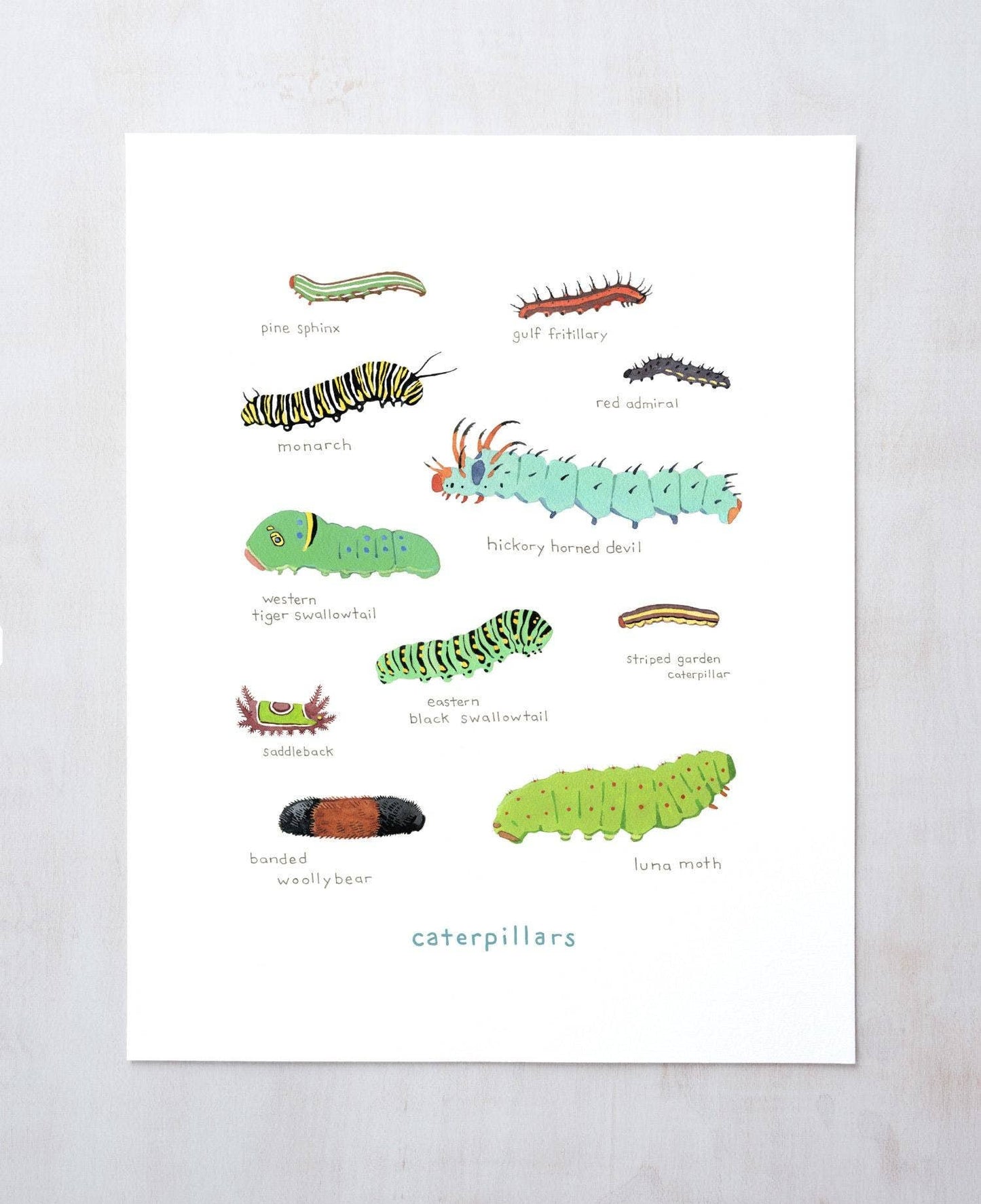 Caterpillar Chart Print, Colorful Kids Art Print: 5x7 (8x10 mat)
