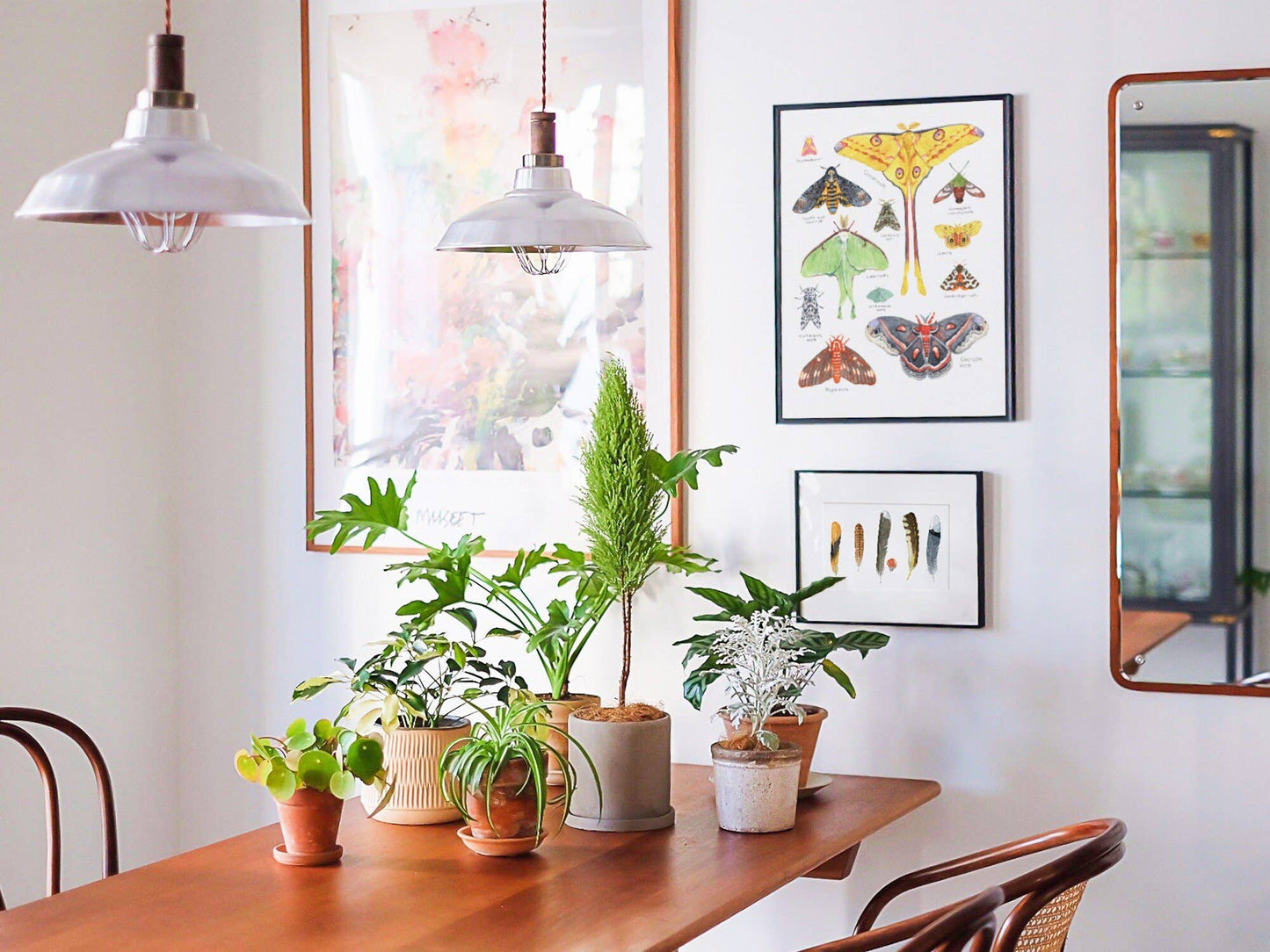 Moth Print, Colorful Insects Watercolor, Animal Chart: 8x10 (11x14 mat)