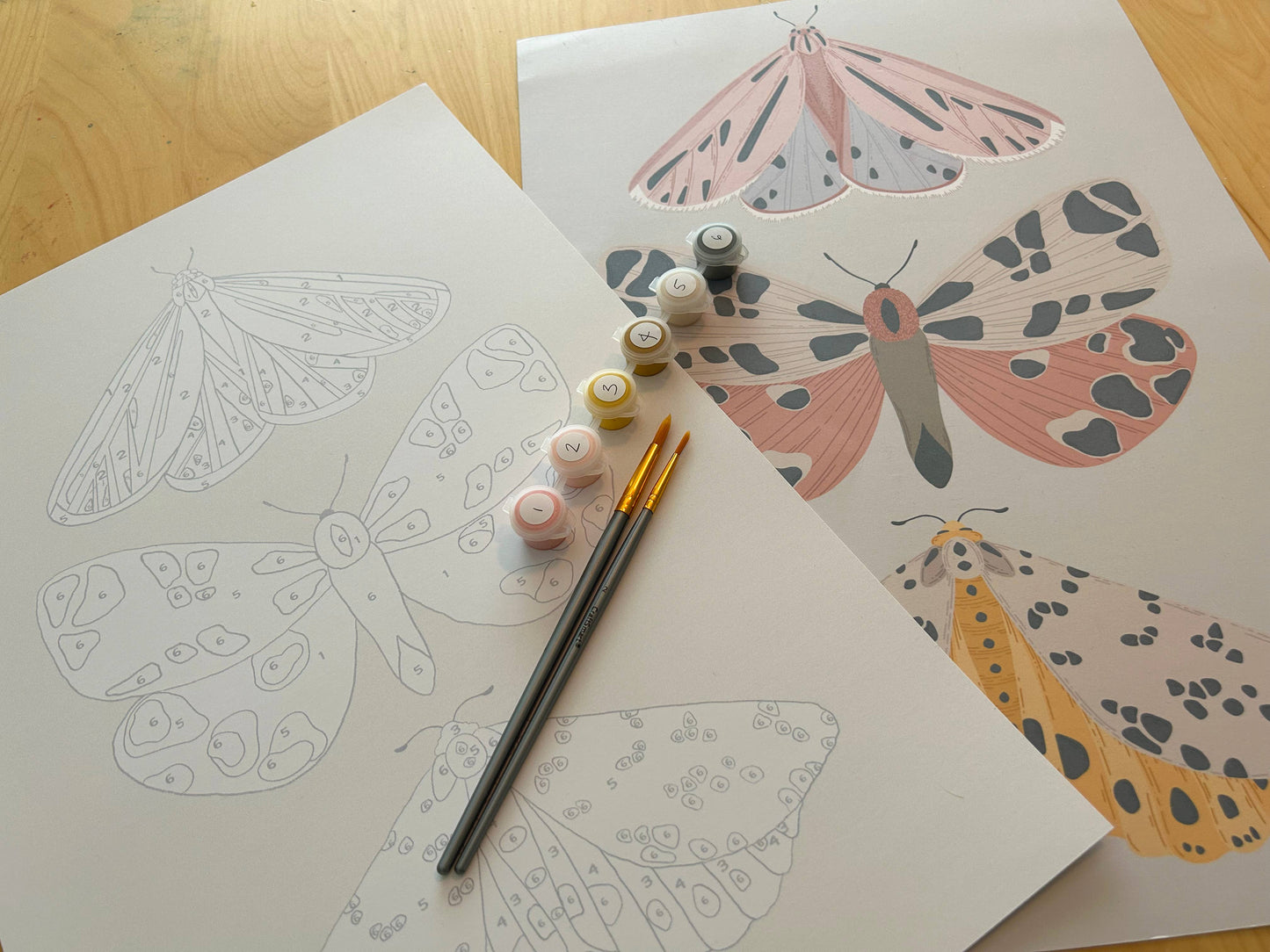 Vintage Butterflies Meditative Art Paint by Number Kit: Kit + Magnetic Frame