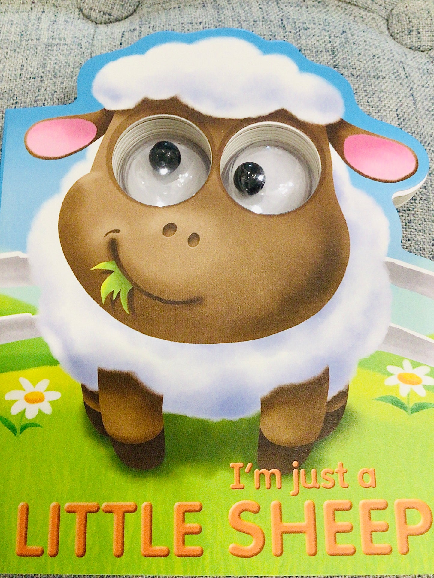 I'm Just a Little Sheep! - Kate Thompson, Barry Green