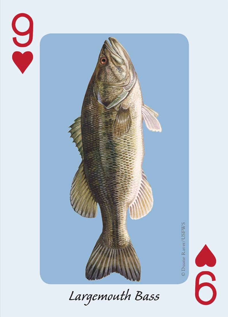 Fish of the Midwest Playing Cards