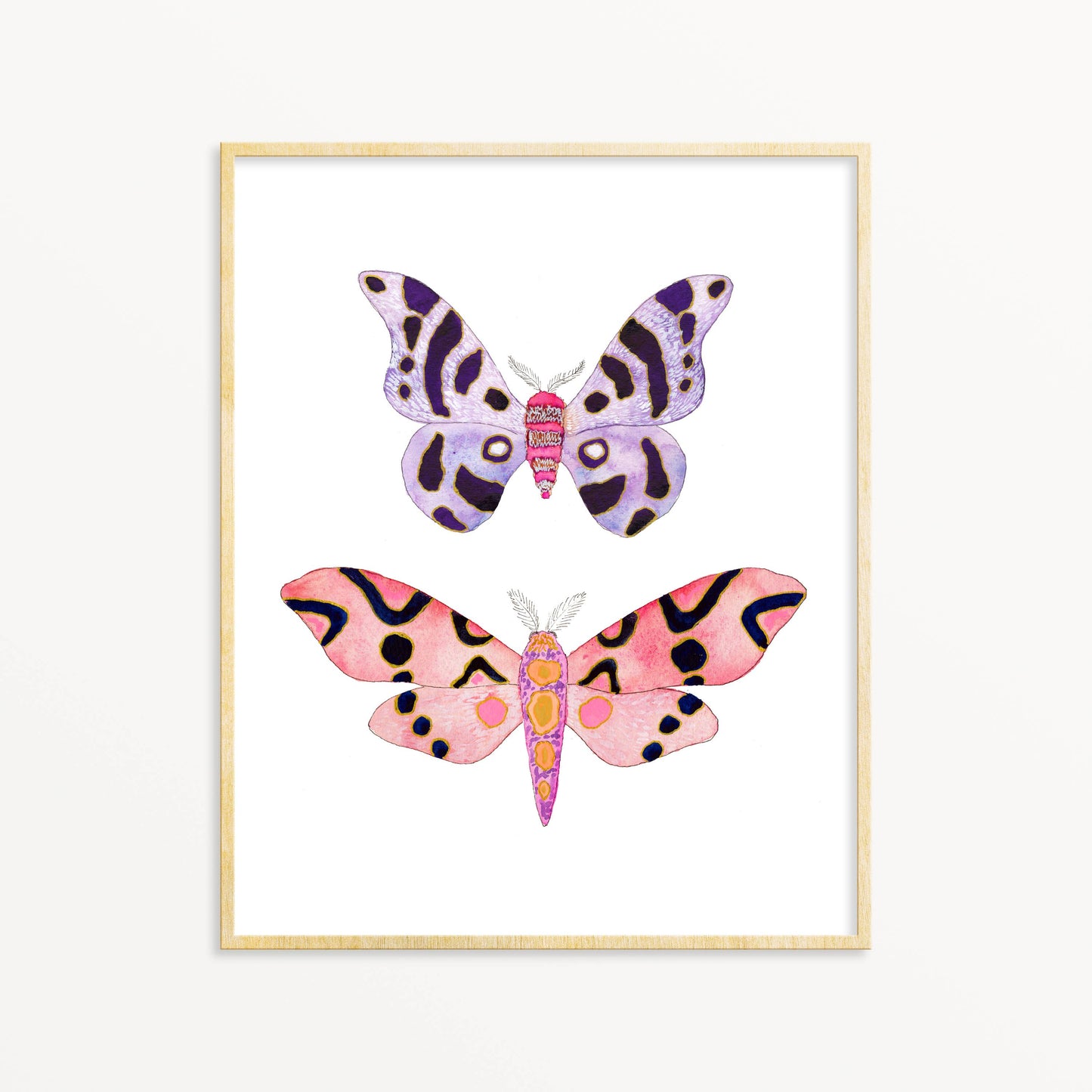 2 Moths #7 - 5” x 7”