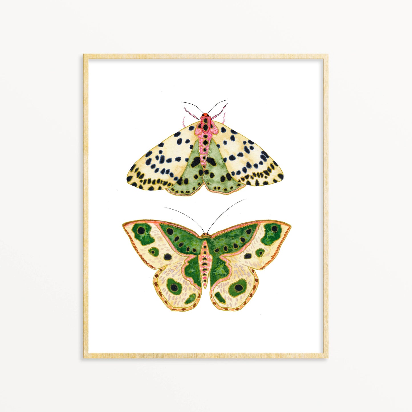 2 Moths #2 - 5" x 7"