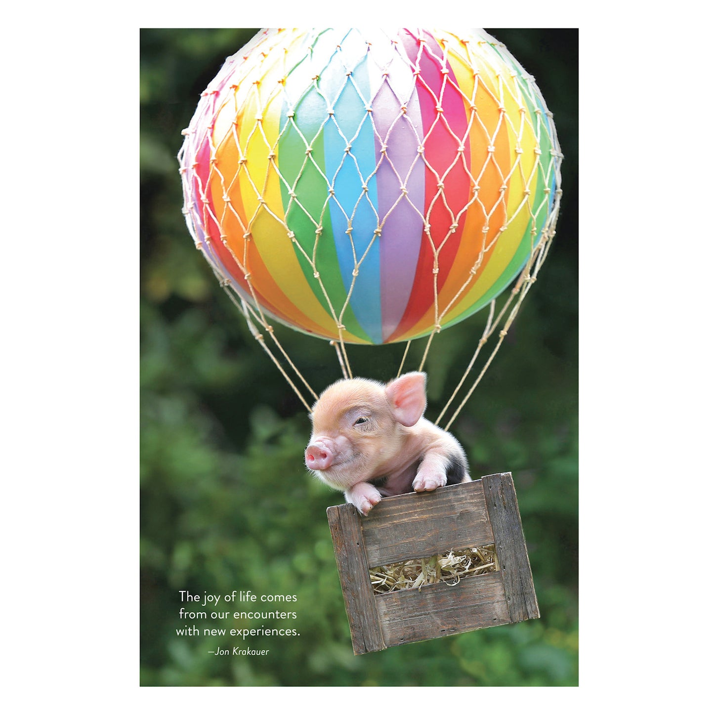 It's the Little Things: The Pocket Pigs' Guide to Living Your Best Life - Richard Austin