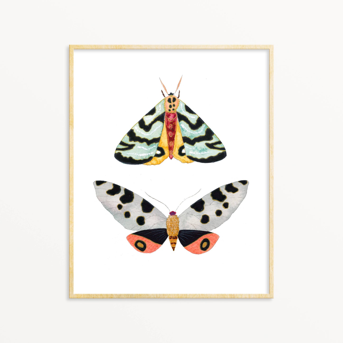 2 Moths #4 - 5" x 7"