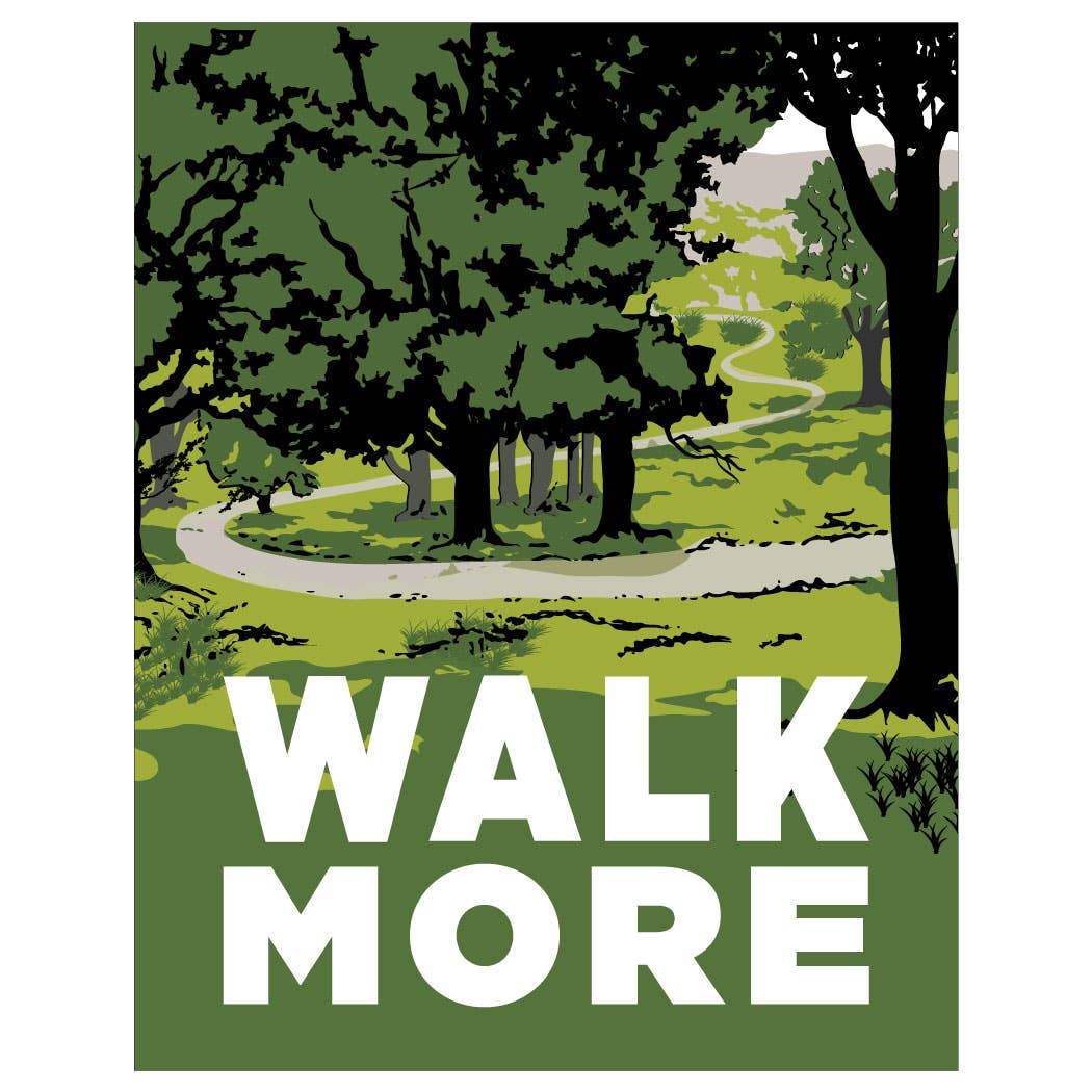 2.5'' x 3.5'' Walk More Magnet