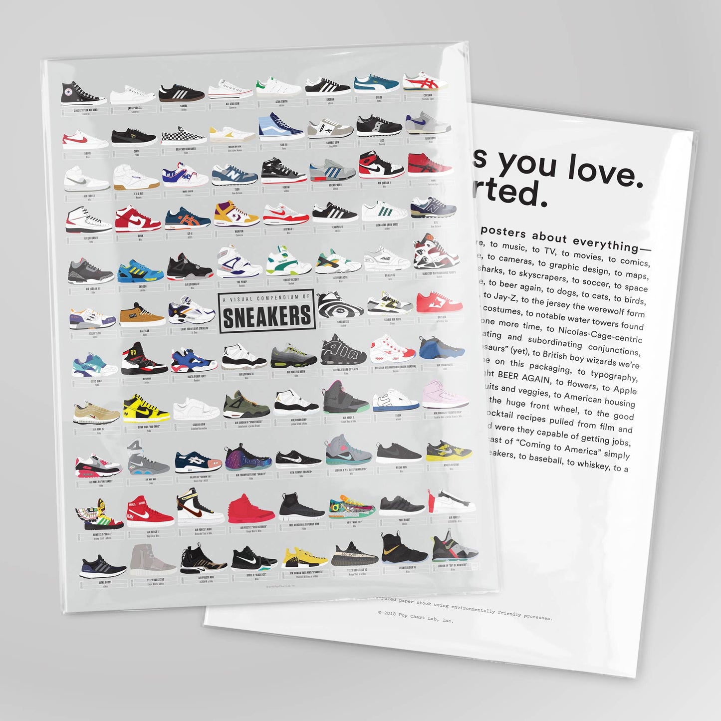 A Visual Compendium of Sneakers | 16" x 20" Art Print
