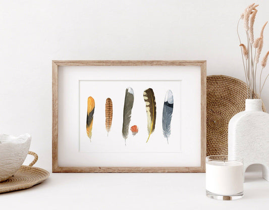 Backyard Bird Feathers Watercolor Print, Feather Art Decor: 5x7 (8x10 mat)