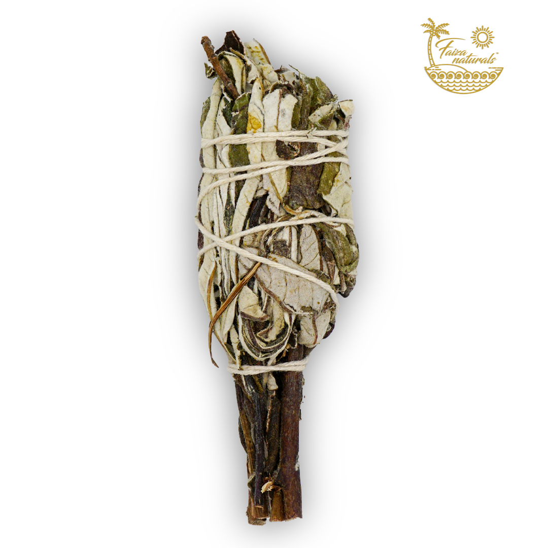 (Good Medicine) Yerba Santa Torches