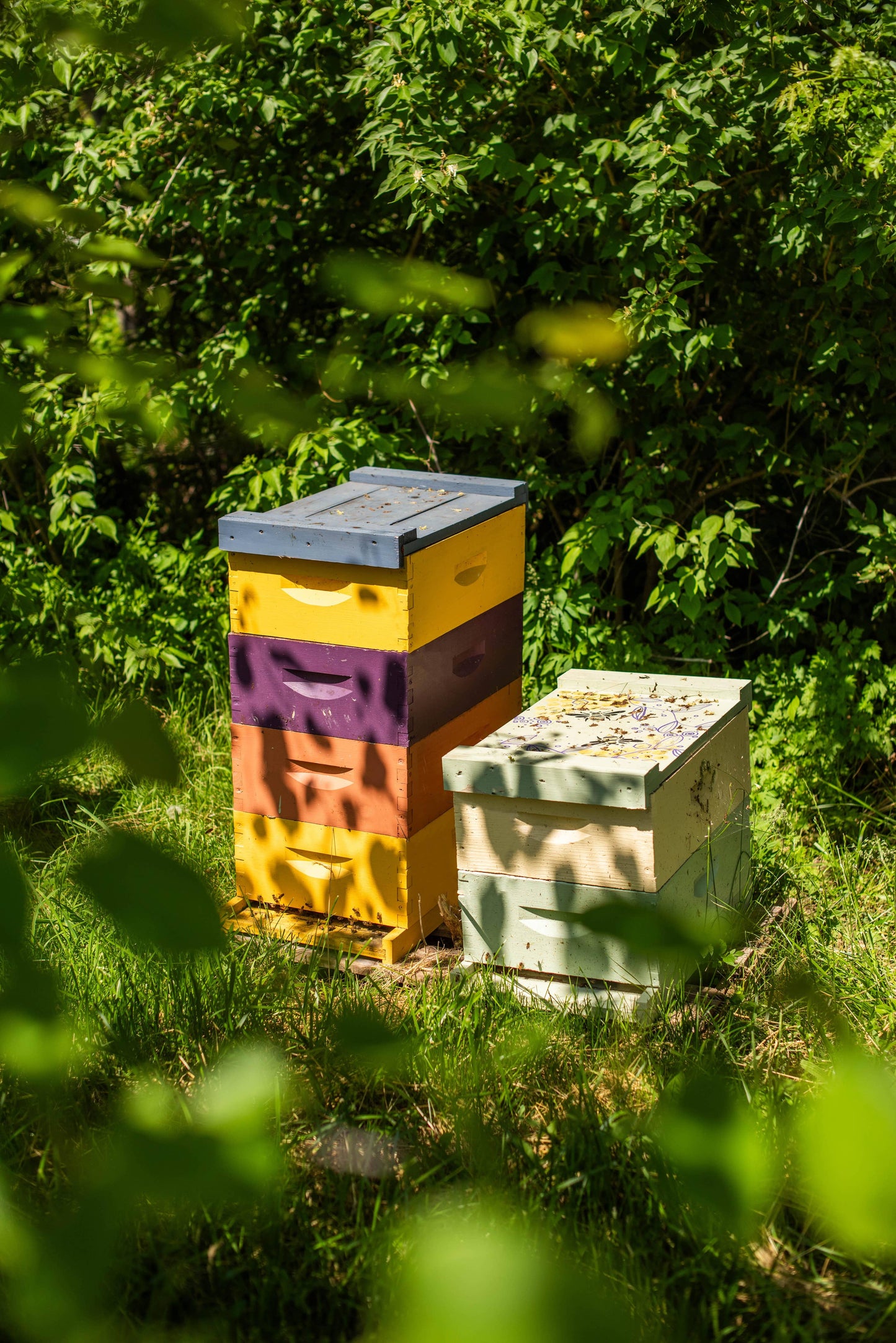 Favorite Pack of 4 Messner Local Beeswax Lip Balms