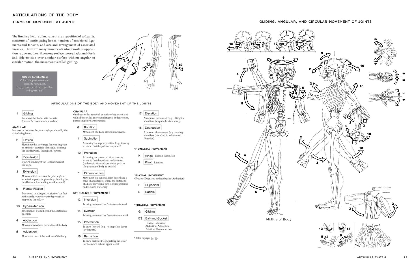 McMurtrie's Human Anatomy Coloring Book