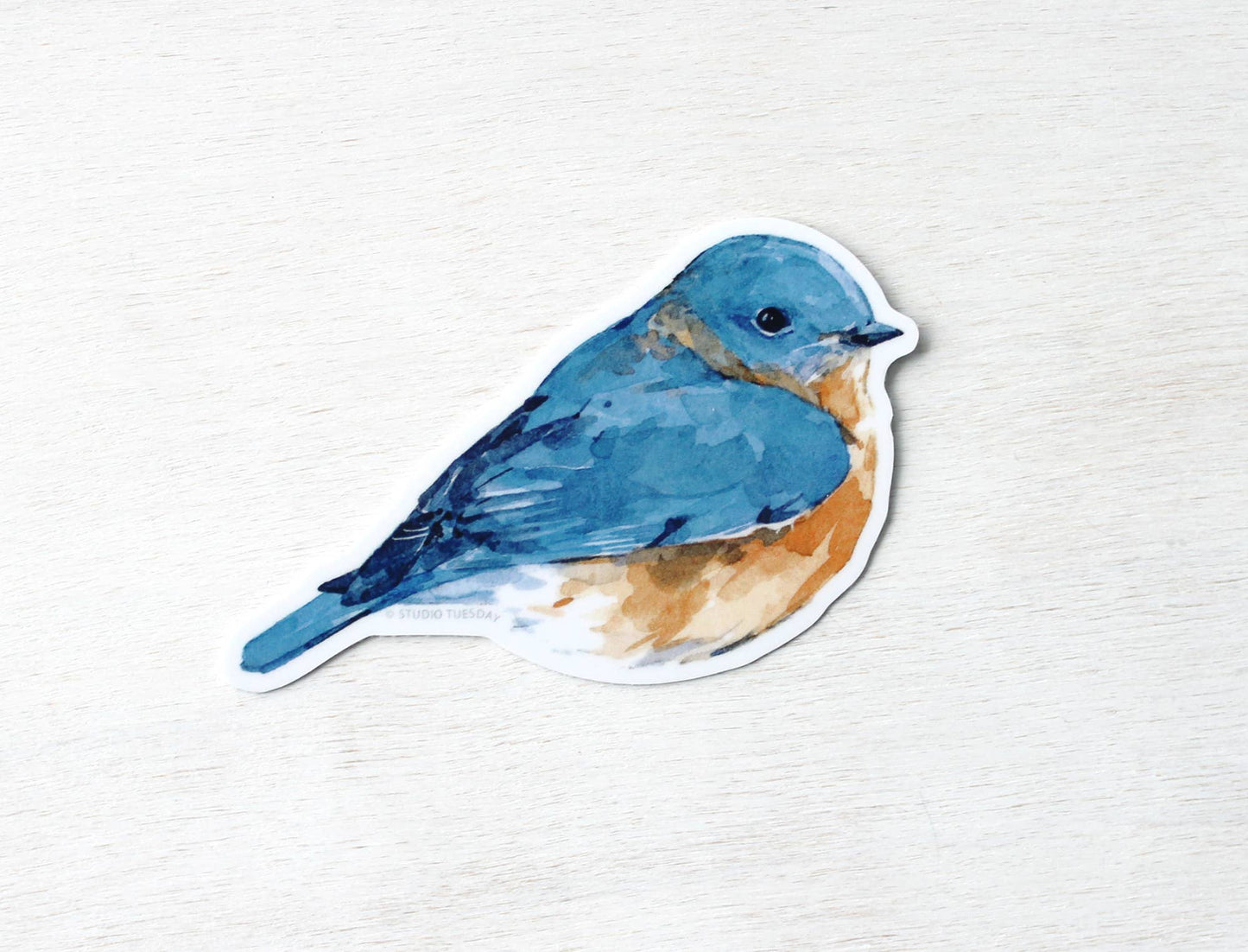 Blue Bird Sticker, Backyard Bird Sticker, Bird Watcher