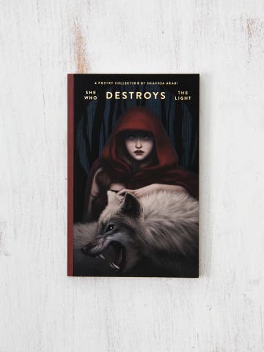 She Who Destroys The Light: Fairy Tales Gone Wrong - book
