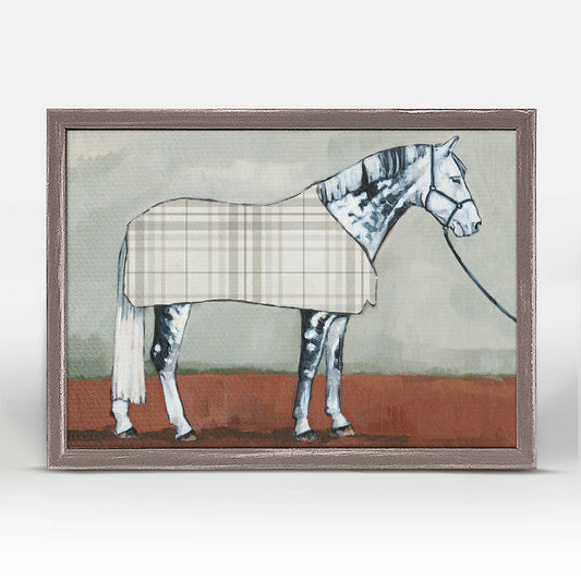 Dapple Gray Mini Framed Canvas