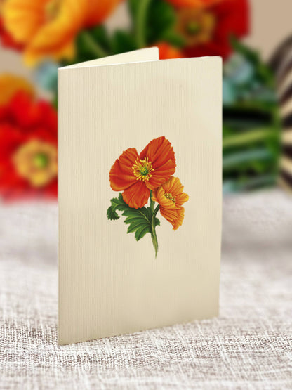 Mini French Poppies Pop-up Greeting Cards