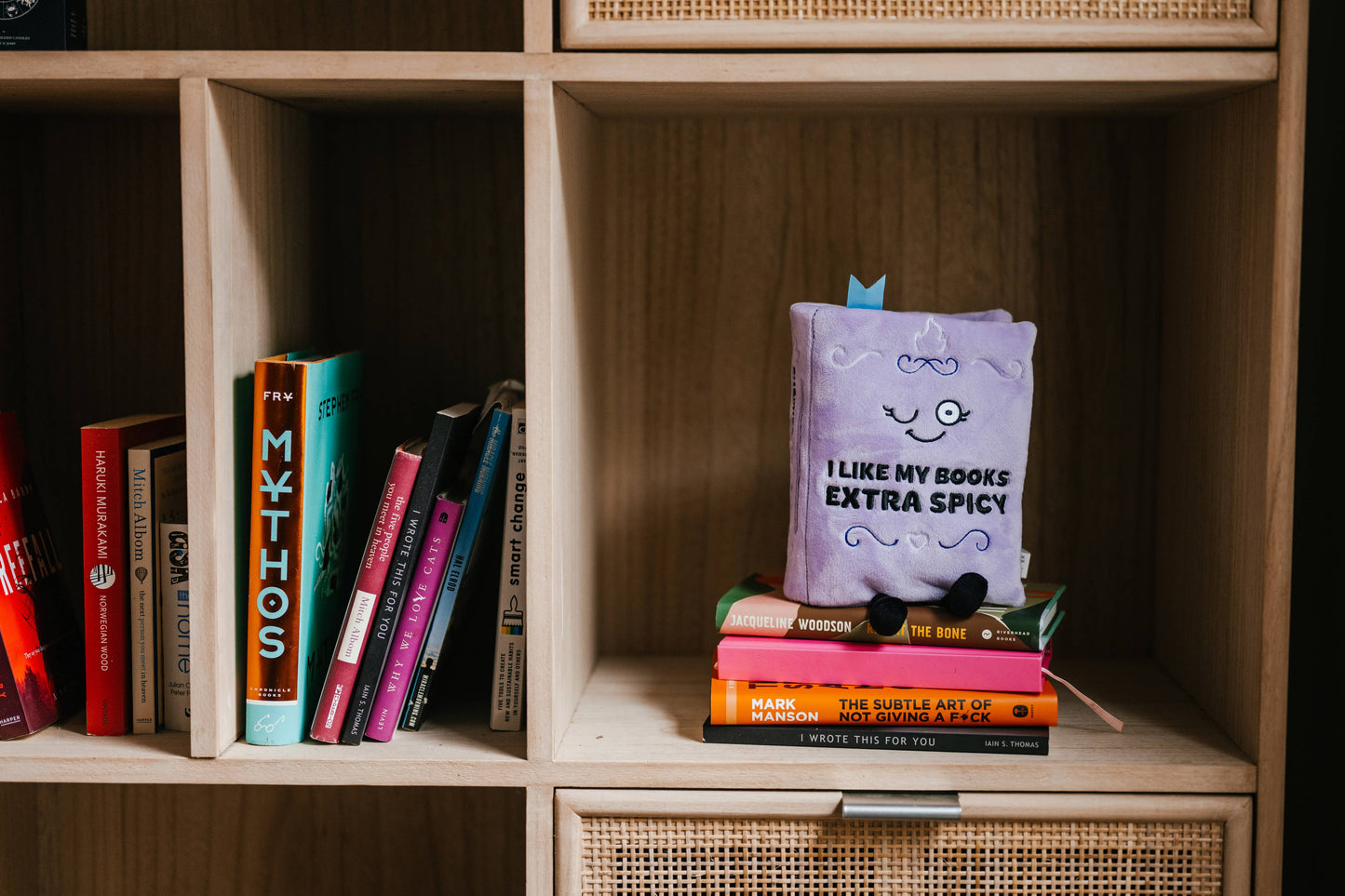 Plush Spicy Book, Extra Soft & Cuddly Toy