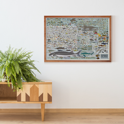 Freshwater Fish of America | 36" x 24" art print