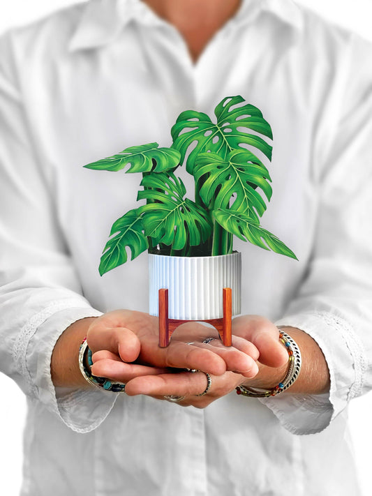 Mini Monstera Plant Pop-up Greeting Card