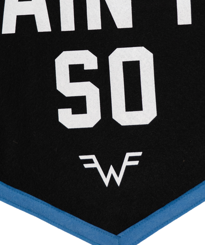 Say It Ain't So Camp Flag • Weezer x Oxford Pennant