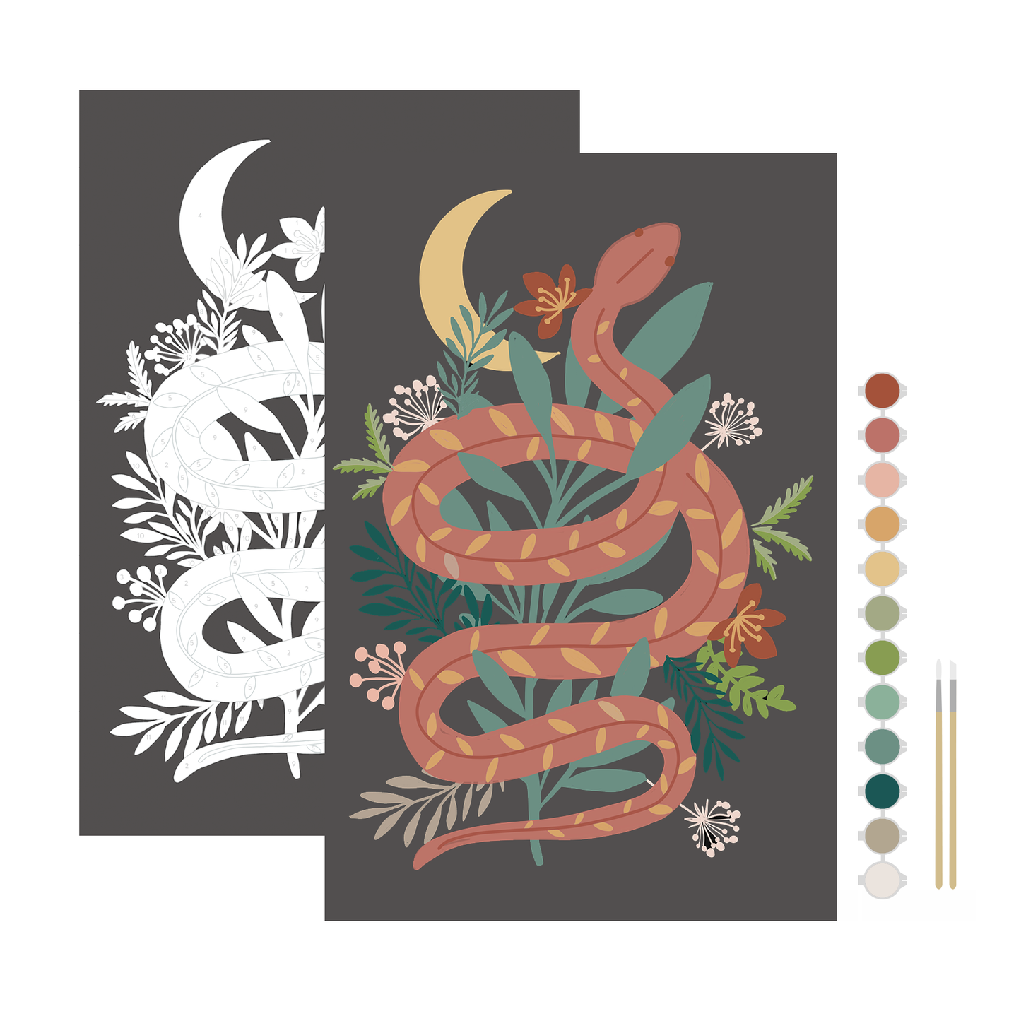 Floral Snake Meditative Art Paint by Number Kit: Kit + Magnetic Frame