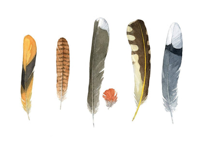 Backyard Bird Feathers Watercolor Print, Feather Art Decor: 5x7 (8x10 mat)