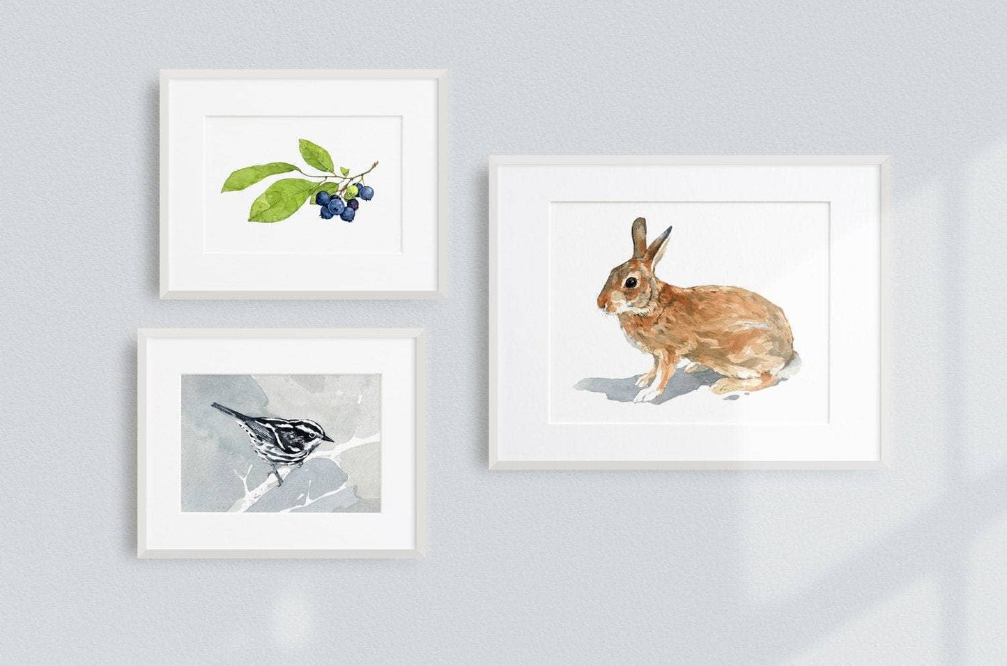 Wild Rabbit Watercolor Print, Nature Wildlife Art: 5x7 (8x10 mat)