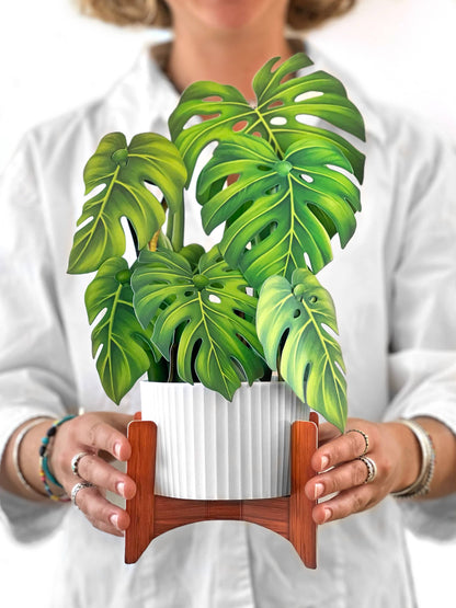 Monstera Plant Pop-up Greeting Card