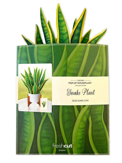 Snake Plant Pop-up Greeting Card