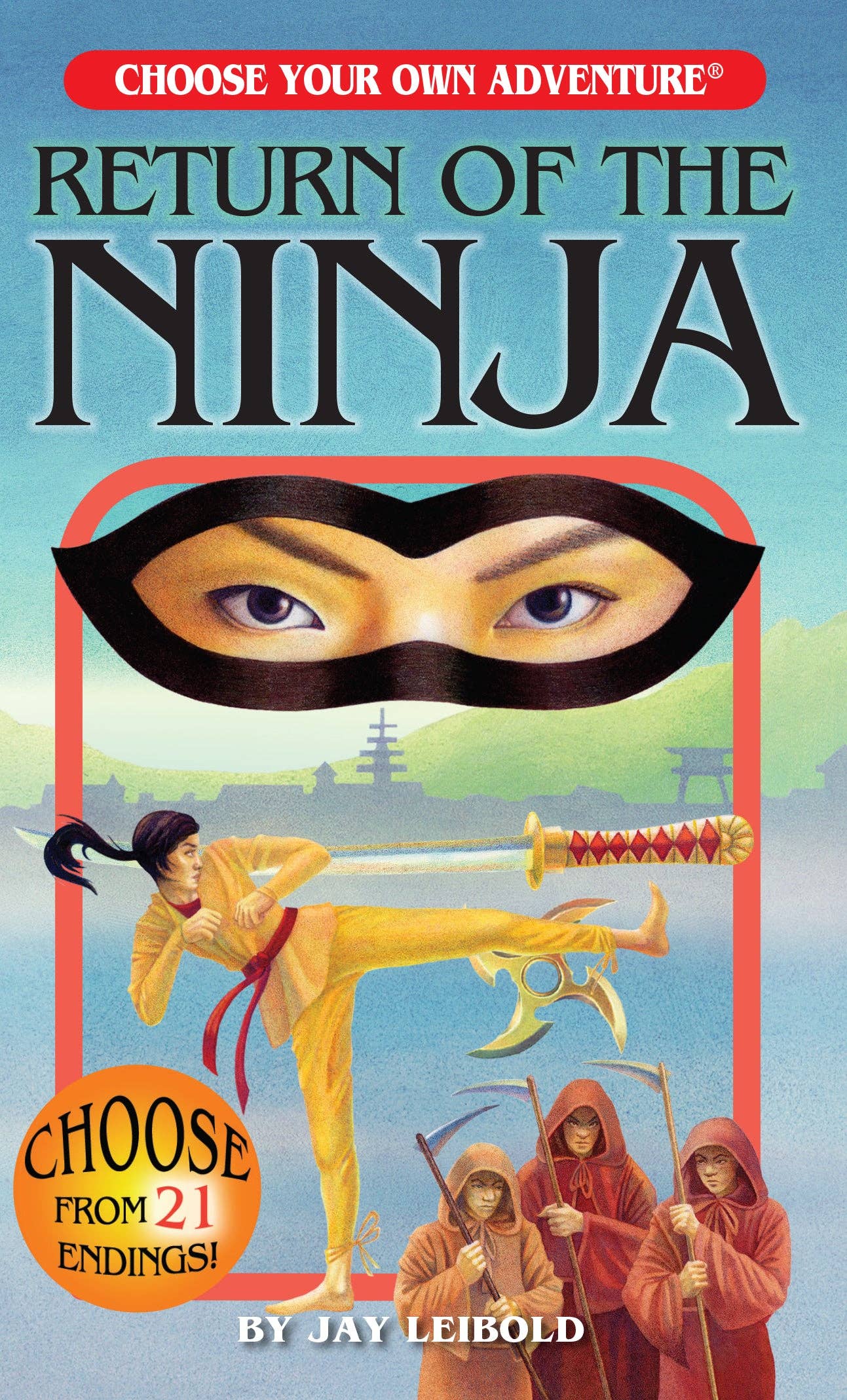 Ninja Box, Children's Book Set  - Choose Your Own Adventure