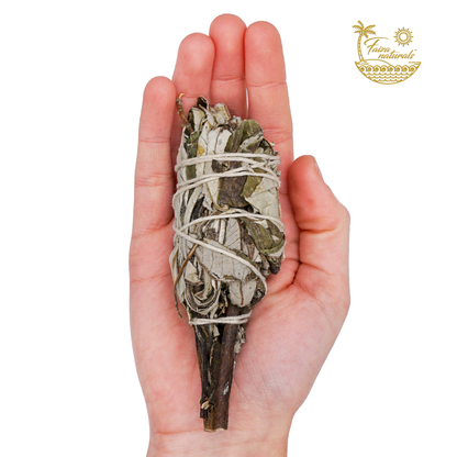 (Good Medicine) Yerba Santa Torches