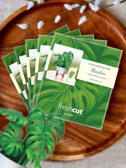 Mini Monstera Plant Pop-up Greeting Card