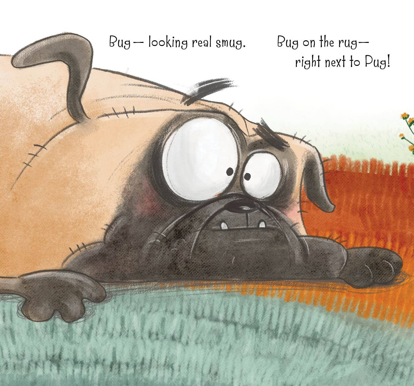 Bug on the Rug picture book