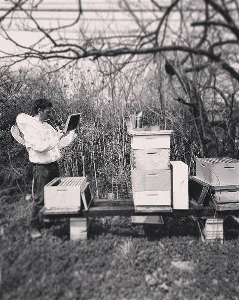 Beeswax and Royal Jelly Salve - Plain and Simple