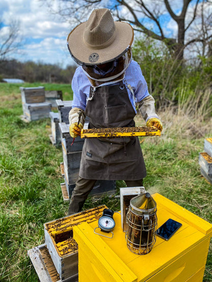 Winter Pack of 4 Messner Local Besswax Lip Balms