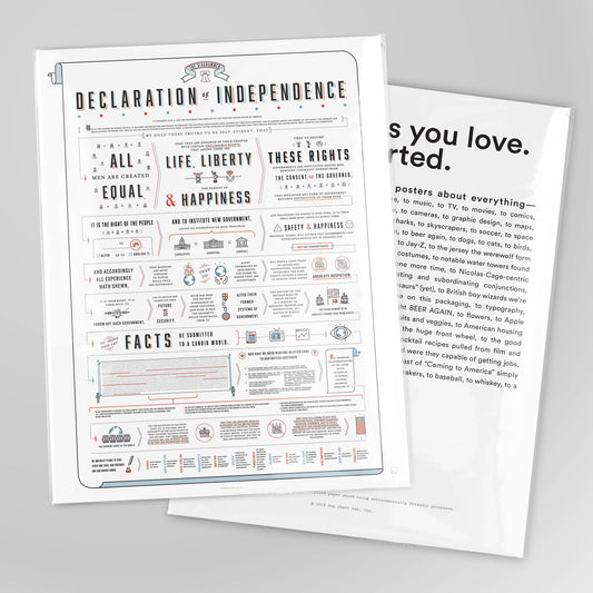Charted Declaration of Independence | 16" x 20" Art Print