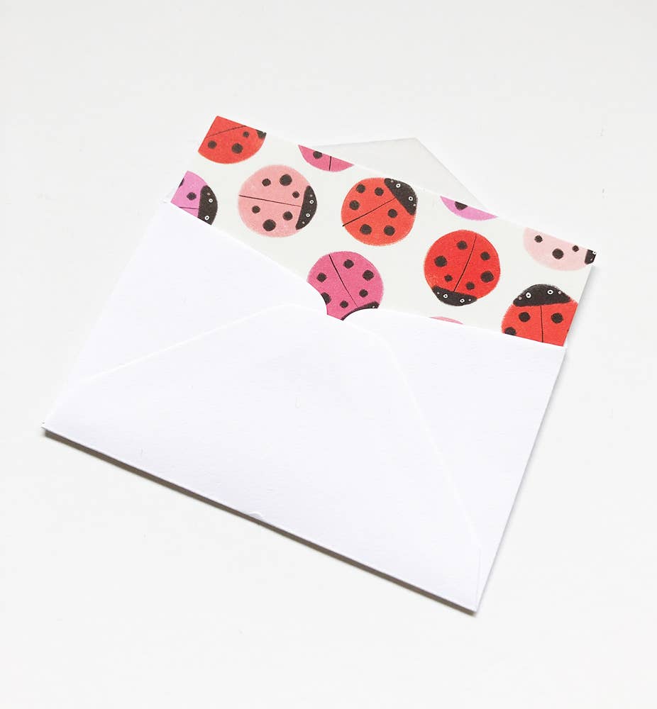 Lady Bug Tiny Notes